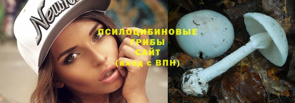винт Ладушкин