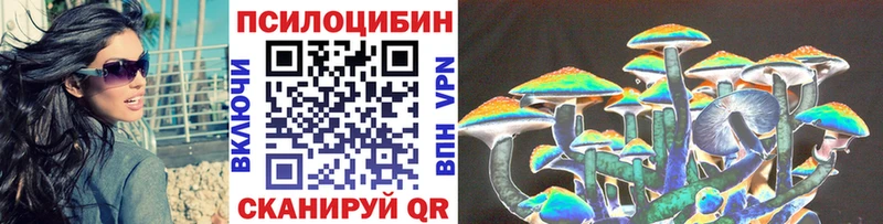 Псилоцибиновые грибы GOLDEN TEACHER Каргат